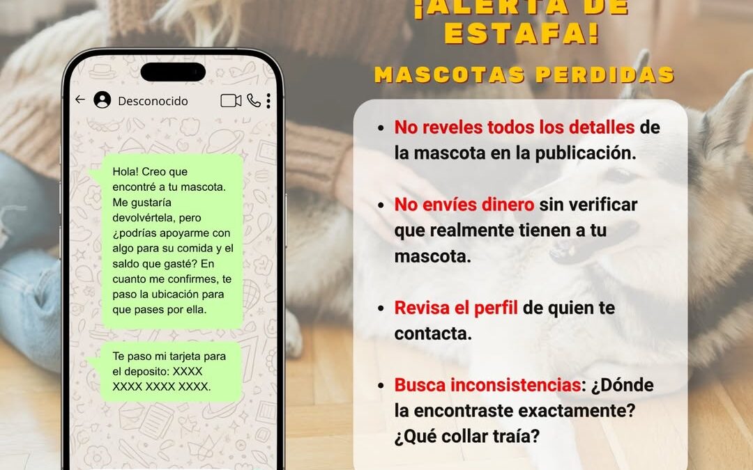 Fiscalía de Veracruz recomienda verificar antes de pagar por recuperar mascotas perdidas