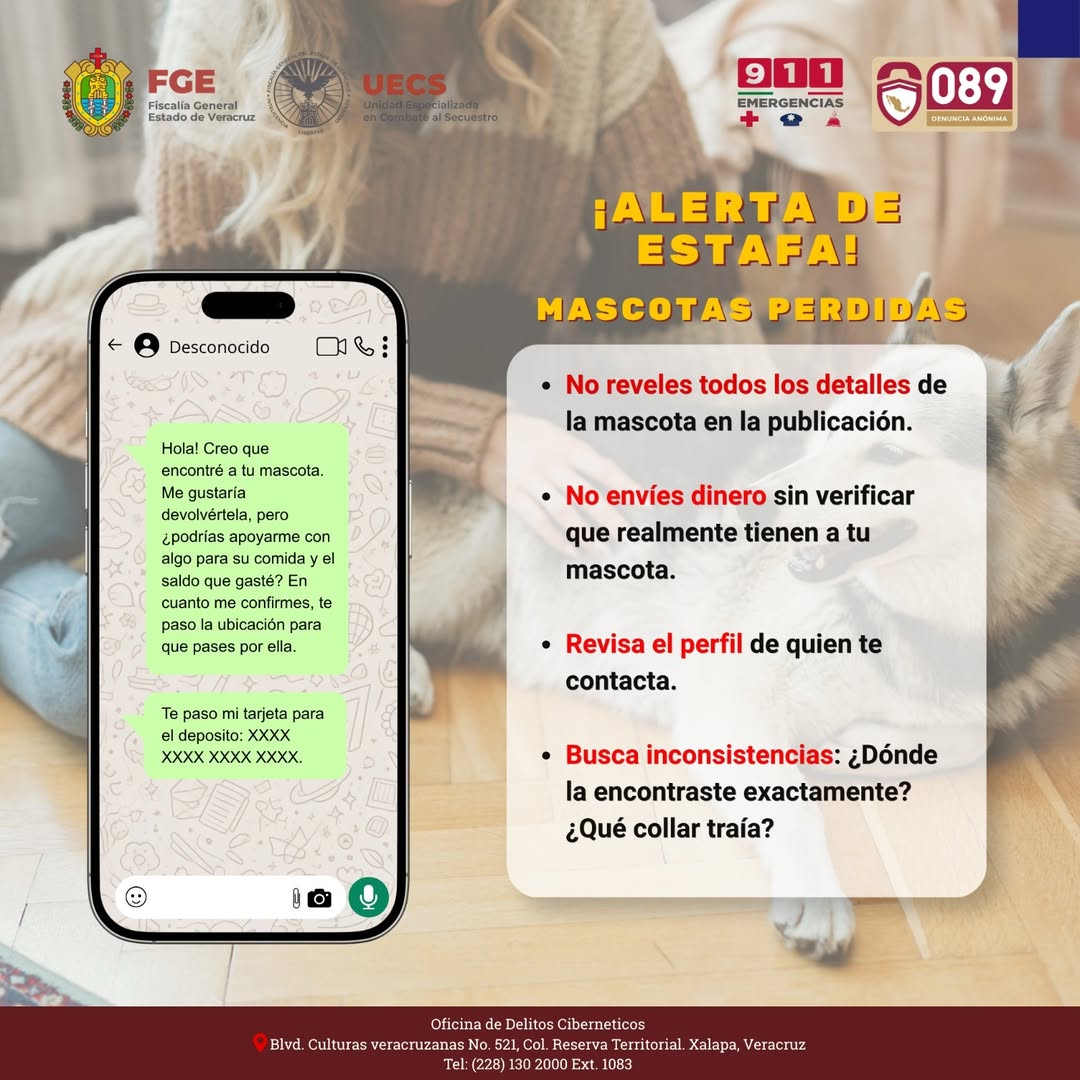 Consejos de la Fiscalía de Veracruz para evitar fraudes al recuperar mascotas