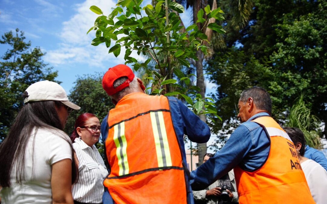 Con jornada de reforestación, Ayuntamiento de Xalapa celebra Día del Medio Ambiente