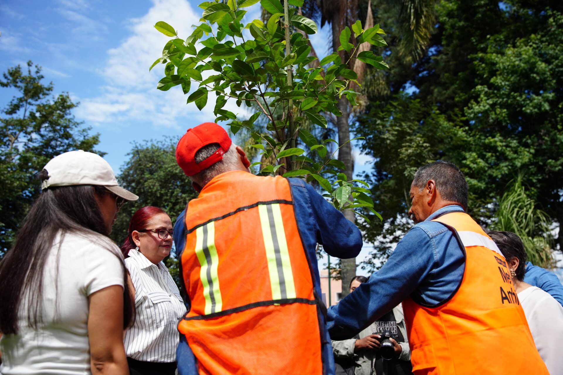 Alcaldesa Daniela Griego Ceballos durante jornada de reforestación en el Parque Juárez de Xalapa
