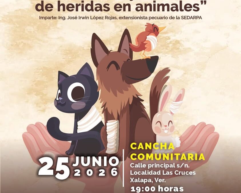 Talleres y pláticas sobre cuidado animal y huertos en Xalapa