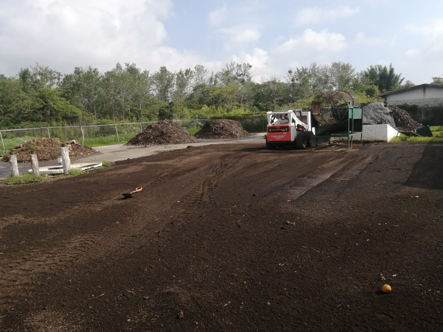 Recolección permanente de residuos orgánicos inicia en Central de Abasto de Xalapa