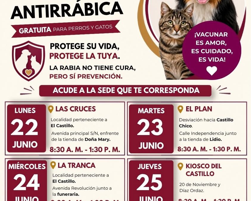 Xalapa convoca a vacunar perros y gatos como prevención