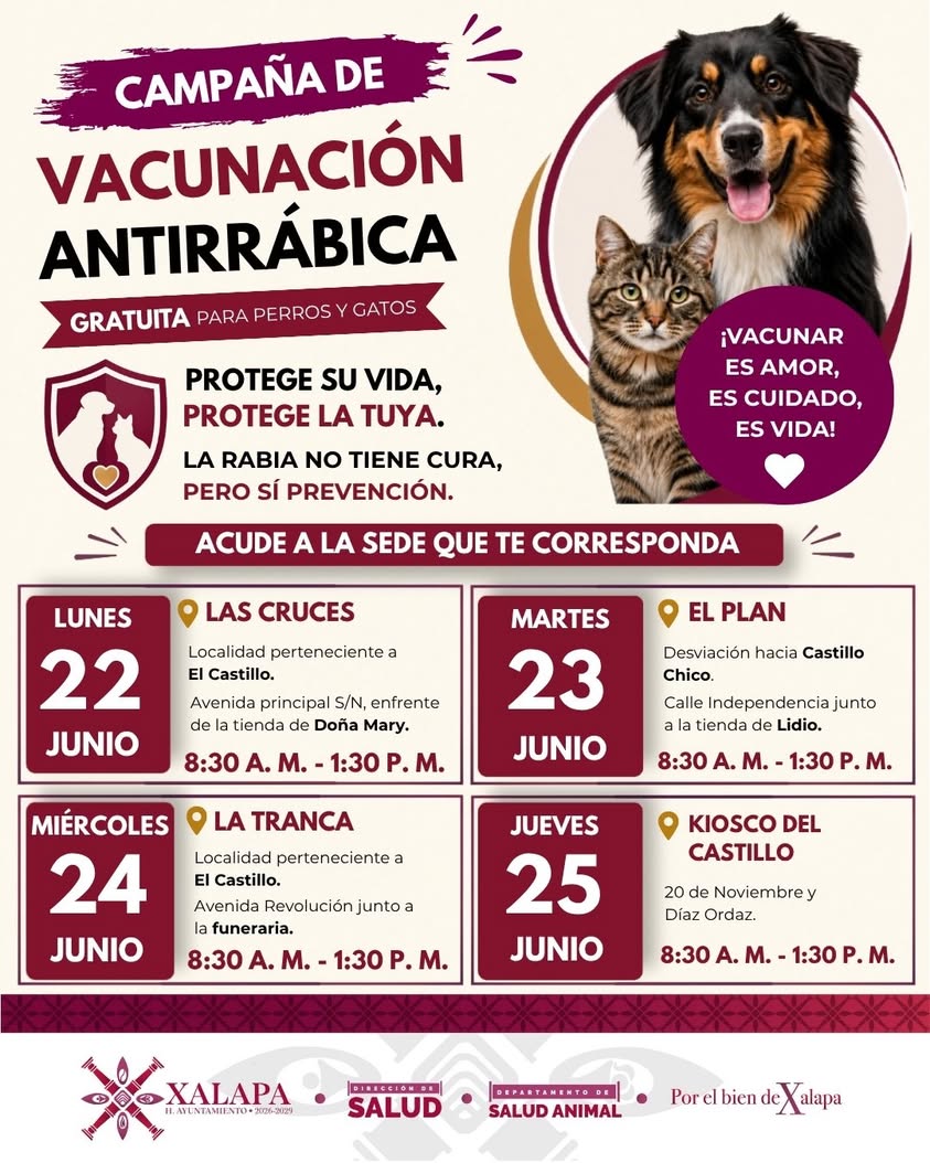 Cartel de vacunación para perros y gatos del Ayuntamiento de Xalapa