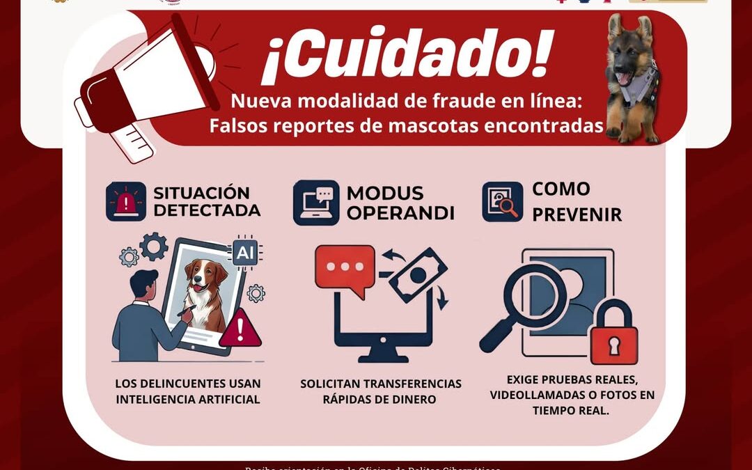 Alerta por estafas con fotos de mascotas perdidas generadas con IA