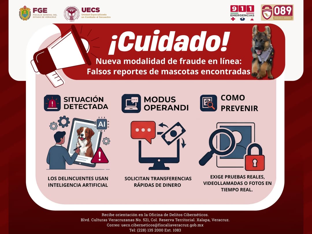 alerta-estafa-mascotas-perdidas-ia Fiscalía de Veracruz alerta sobre estafas con fotos falsas de mascotas creadas con inteligencia artificial