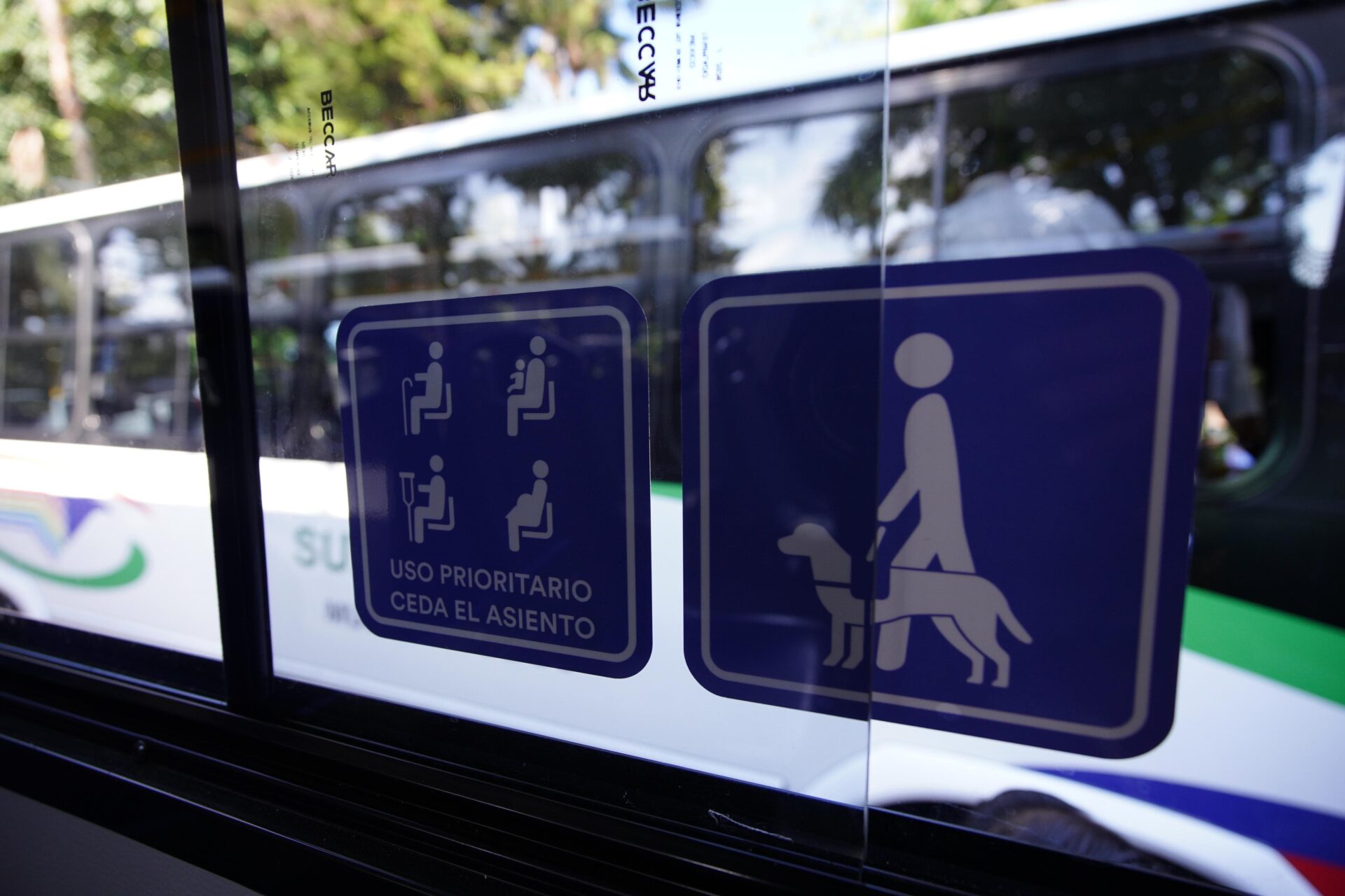 Cinco autobuses nuevos del Servicio Urbano de Xalapa en el parque Benito Juárez