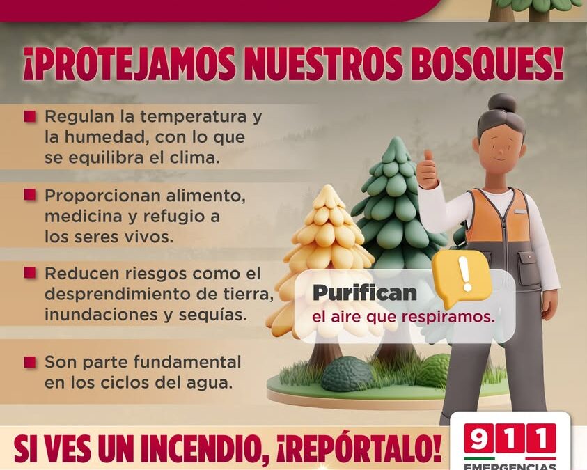 Protección Civil llama a reportar incendios forestales al 911 en Veracruz
