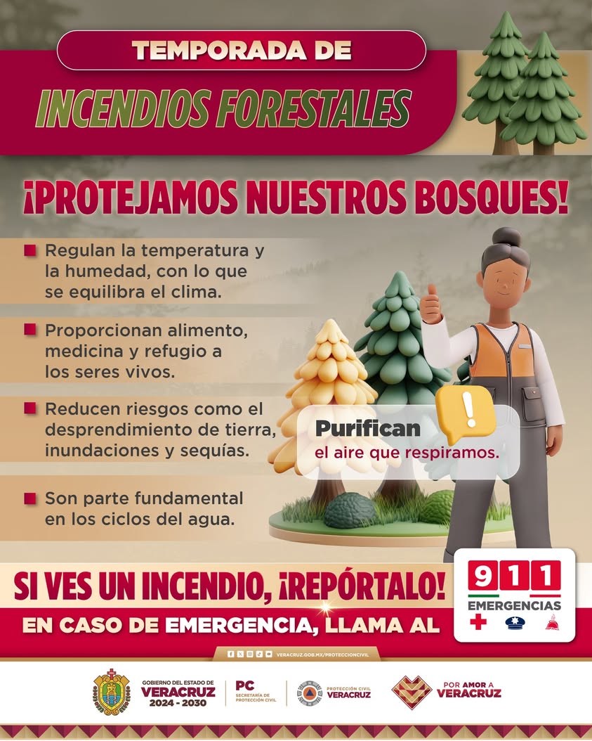 bosque-veracruz-proteccion-civil Bosque en Veracruz, llamado de Protección Civil a reportar incendios