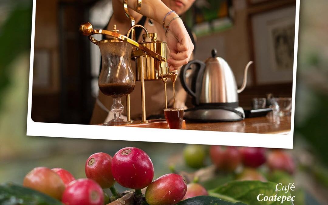 Café veracruzano: trabajo y dedicación de productores