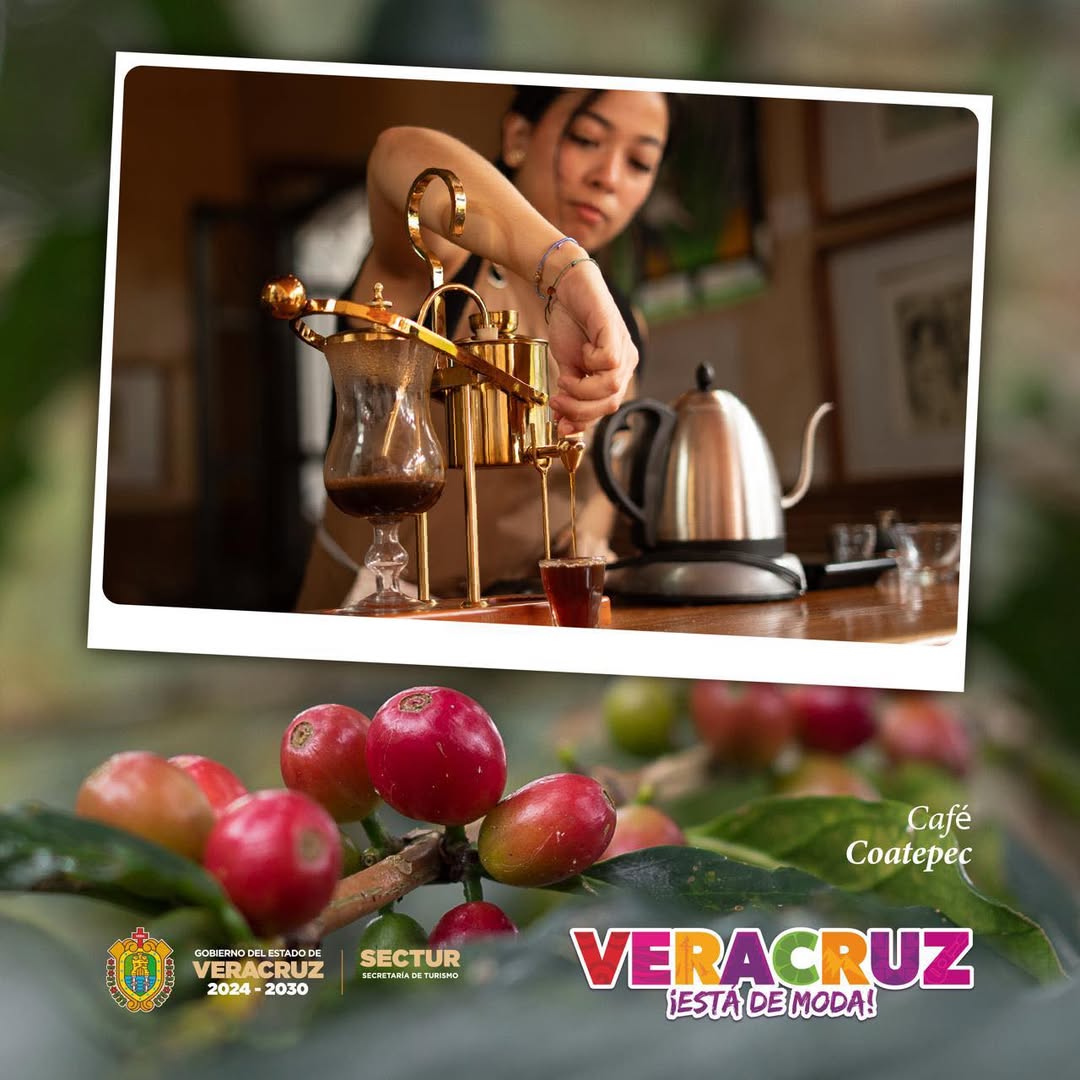 Café veracruzano producido por productores locales