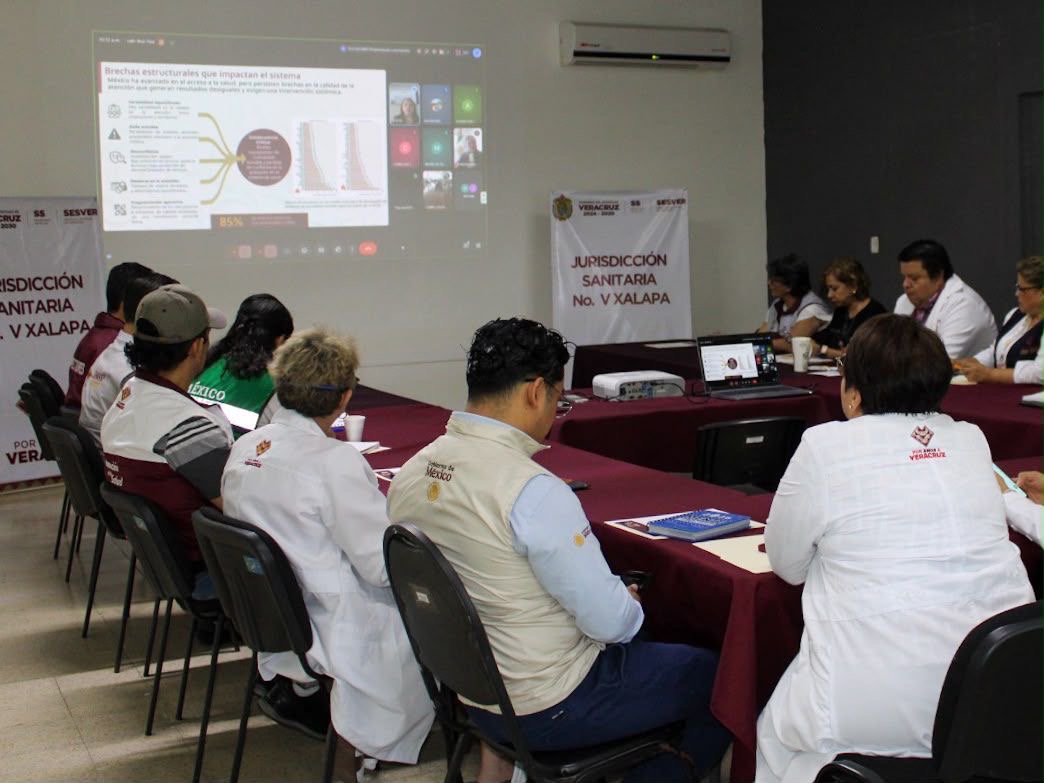 capacitacion-nacional-comites-calidad-salud Personal de la Secretaría de Salud durante la capacitación virtual sobre calidad