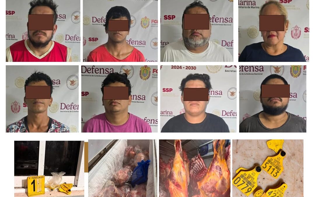 Cateo en La Antigua deja ocho detenidos por ganado robado
