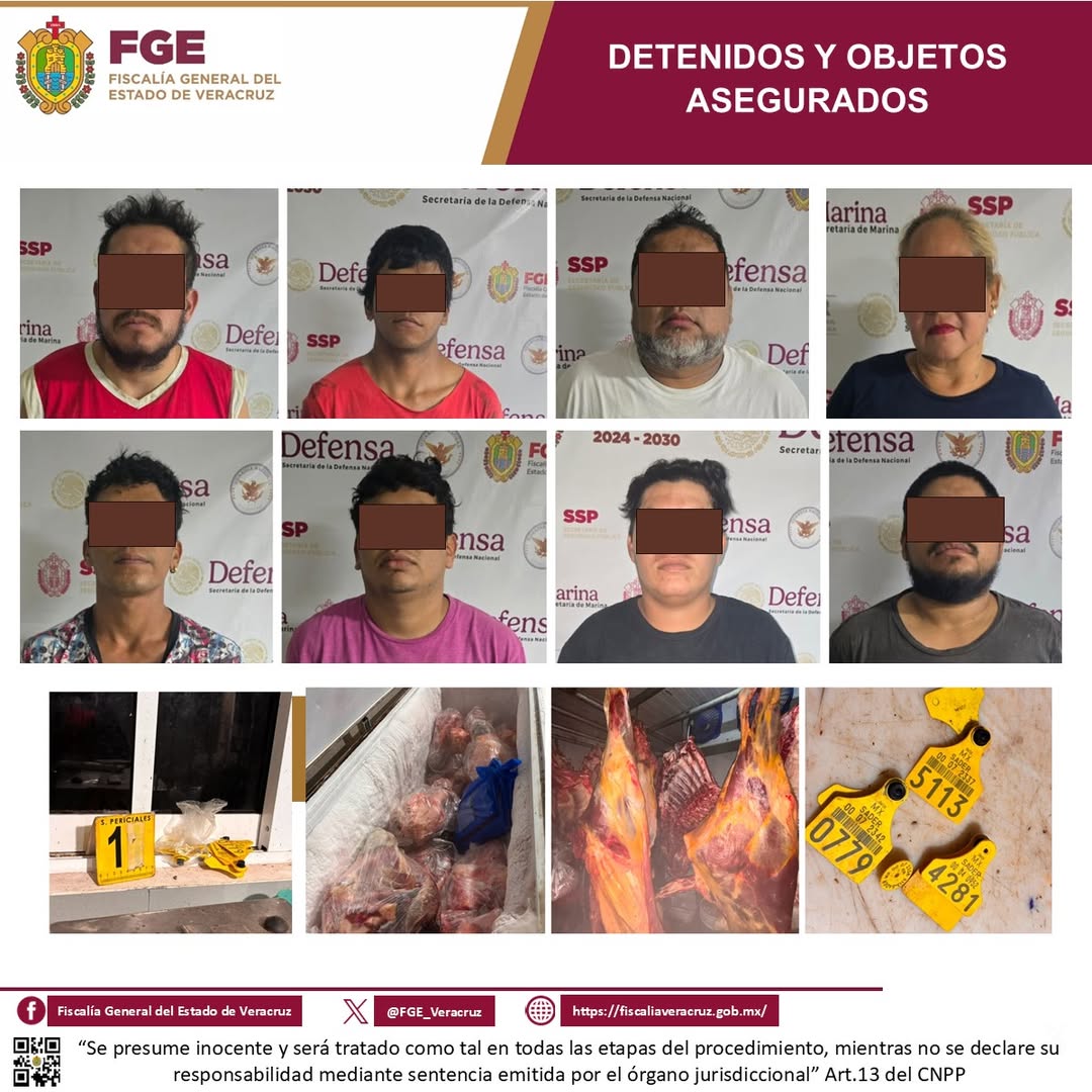 Operativo de cateo en Cardel, La Antigua, con detenidos y evidencias aseguradas