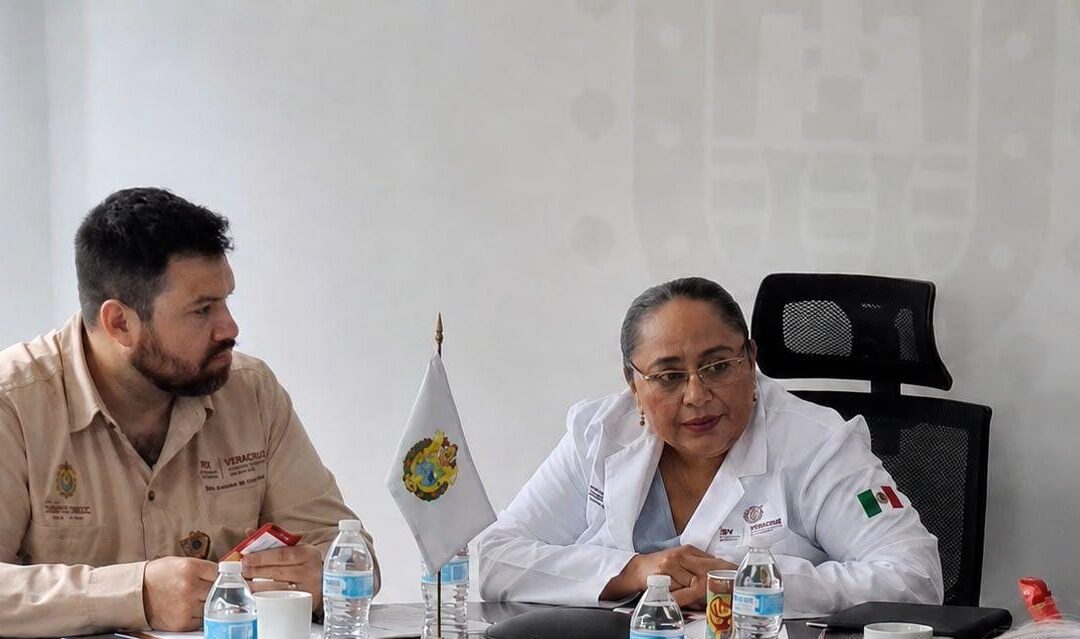 Instalan en Veracruz comité contra desnutrición infantil