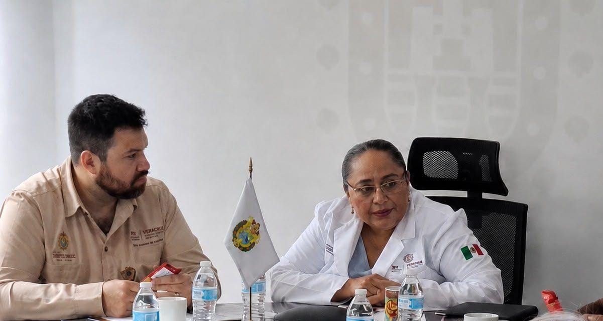 Comité Estatal Interinstitucional de la Estrategia Nutriendo Futuros Saludables en Veracruz