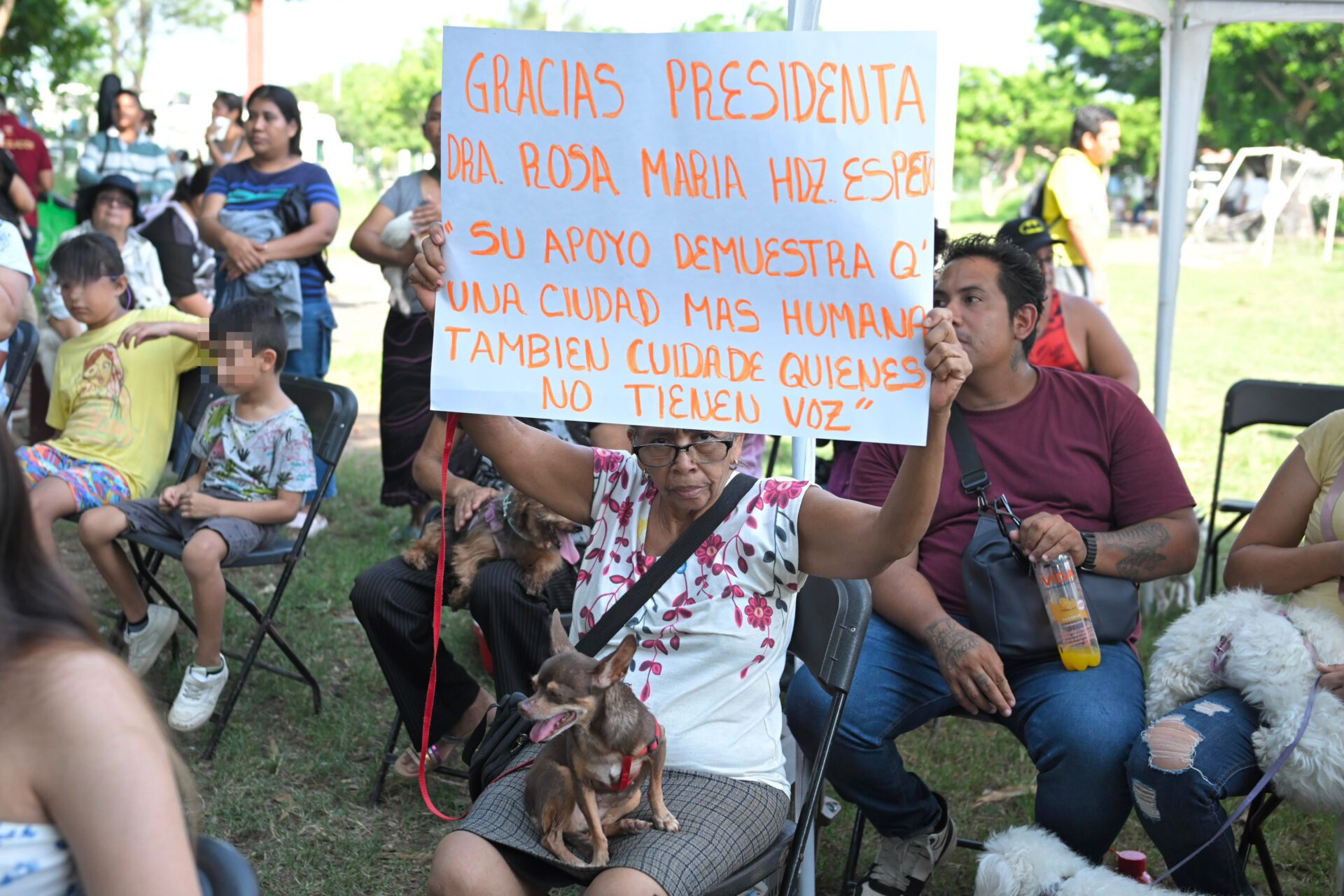 Veracruz conmemora Día Mundial del Perro con servicios gratuitos para mascotas