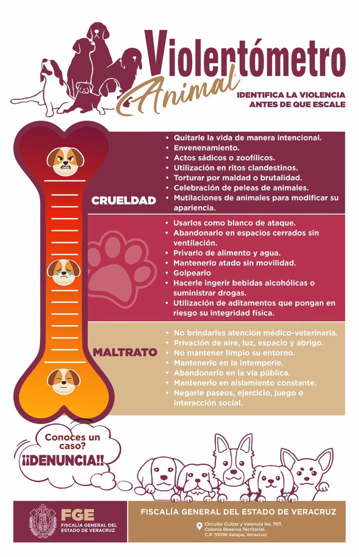 Logotipo de la Fiscalía General del Estado de Veracruz en llamada a denunciar maltrato animal