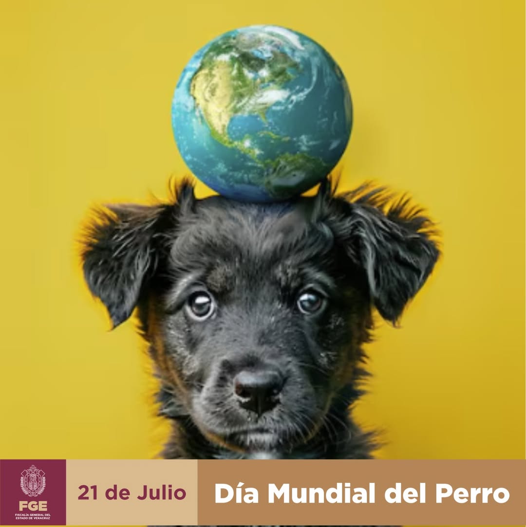 fiscalia-veracruz-perros-sociedad Fiscalía General del Estado de Veracruz reconoce a los perros en el Día del Perro