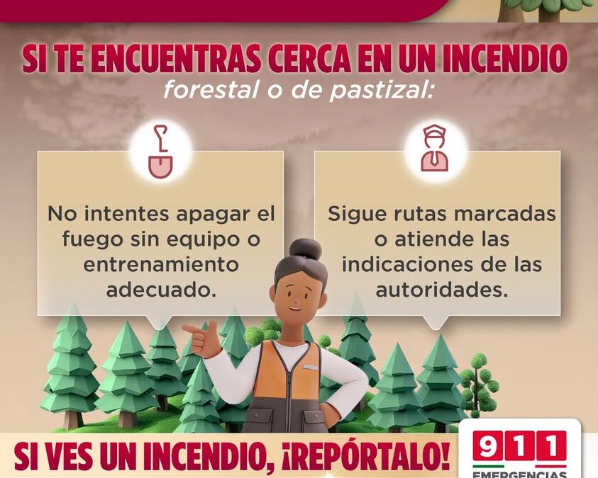 Recomendaciones de Protección Civil ante un incendio: llama al 911