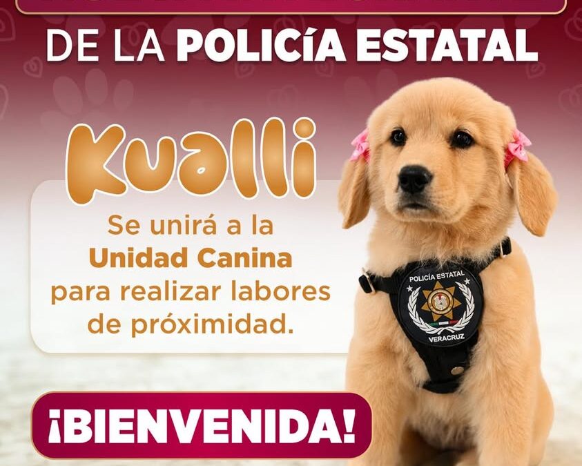 Kualli, nueva integrante canina de la Policía Estatal