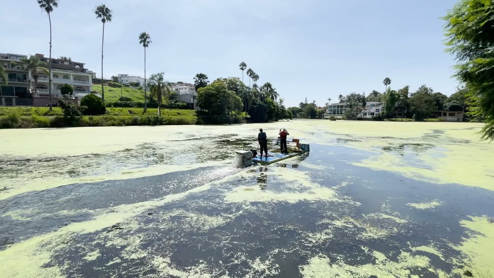 Ayuntamiento de Xalapa lanza lancha recolectora de algas