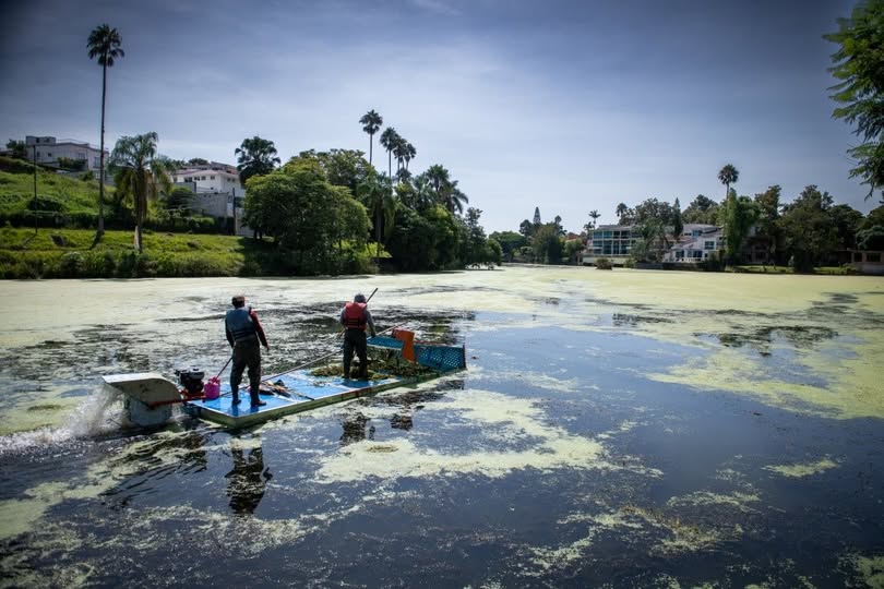 Xalapa inicia saneamiento del lago de Las Ánimas con nueva lancha