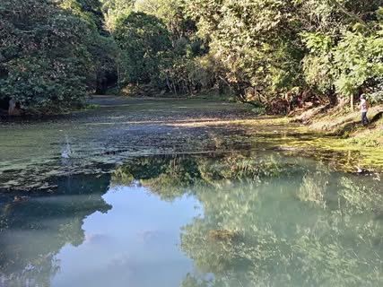 Jornada de limpieza en Lagos de las Ánimas