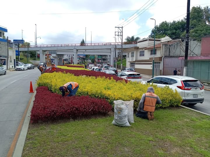 Xalapa intensifica mantenimiento de parques y avenidas en julio