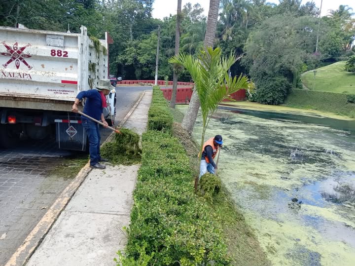 Mantenimiento integral en Las Ánimas para conservar espacios verdes