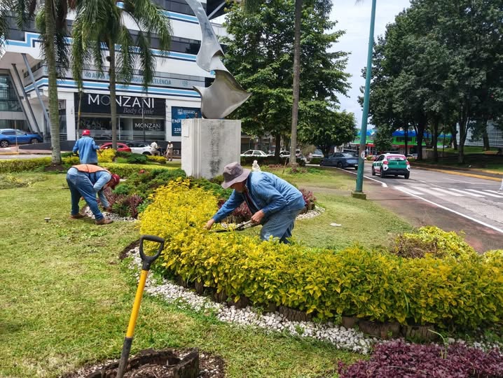 Xalapa intensifica mantenimiento en parques y avenidas