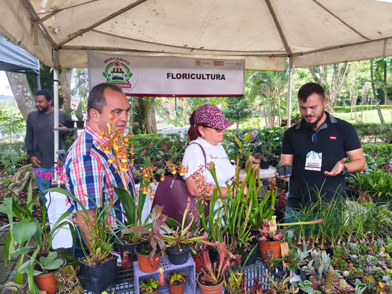 Ayuntamiento de Xalapa invita a la tercera edición del Mercadito Bicentenario