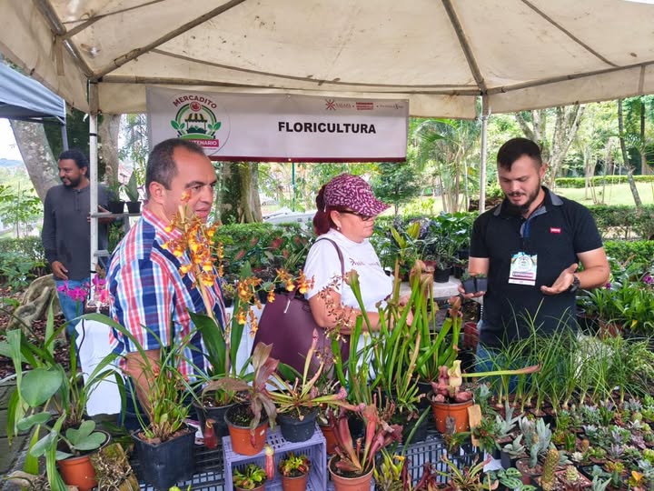 Tercera edición del Mercadito Bicentenario en Xalapa, este fin de semana