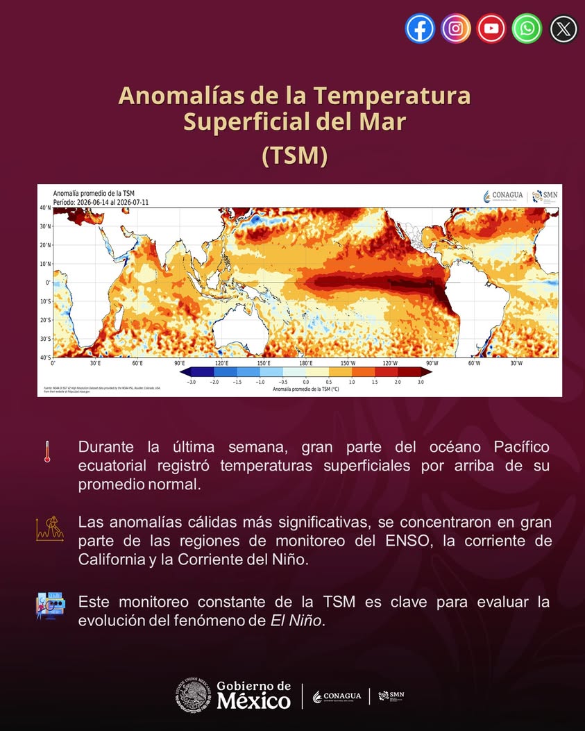 Gráfico del monitoreo de la temperatura superficial del mar para El Niño del Servicio Meteorológico Nacional