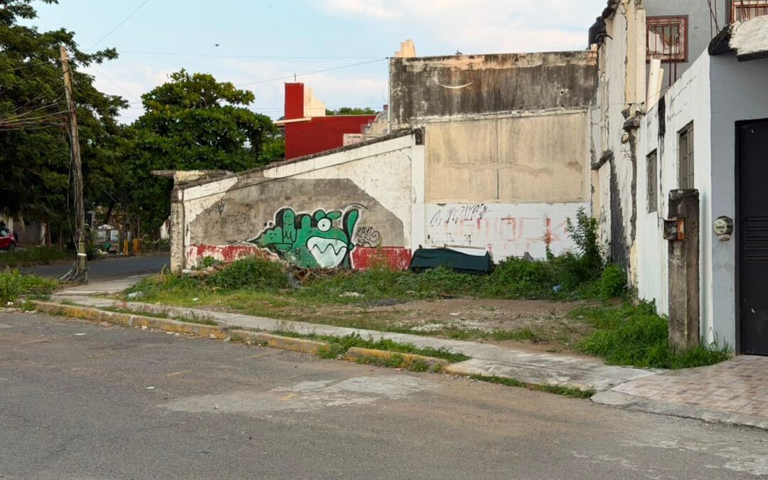 Refuerza Ayuntamiento de Veracruz medidas contra predios abandonados