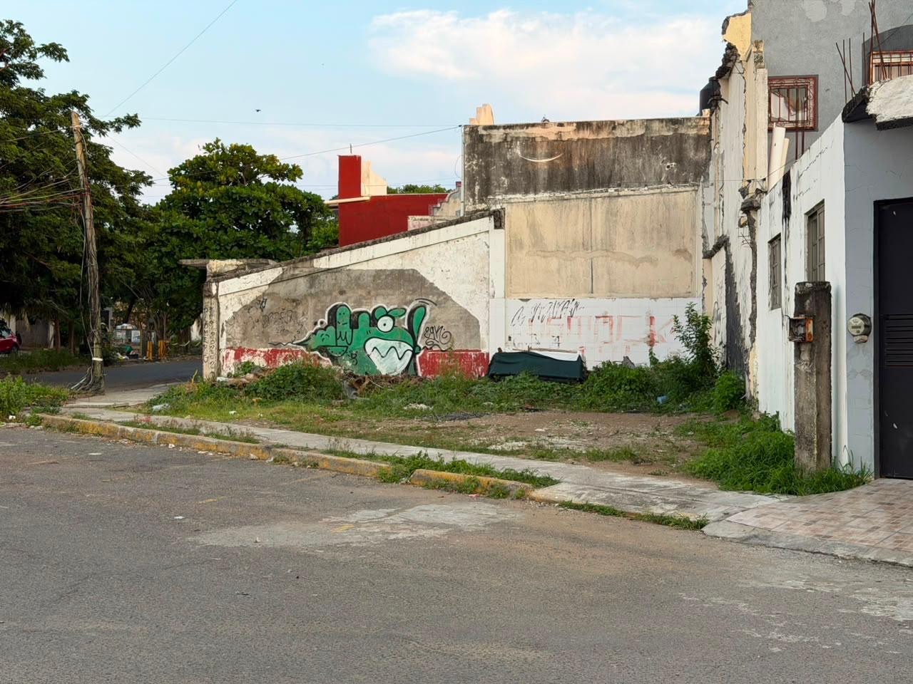 Vista de un predio abandonado en Veracruz acumulando basura y maleza