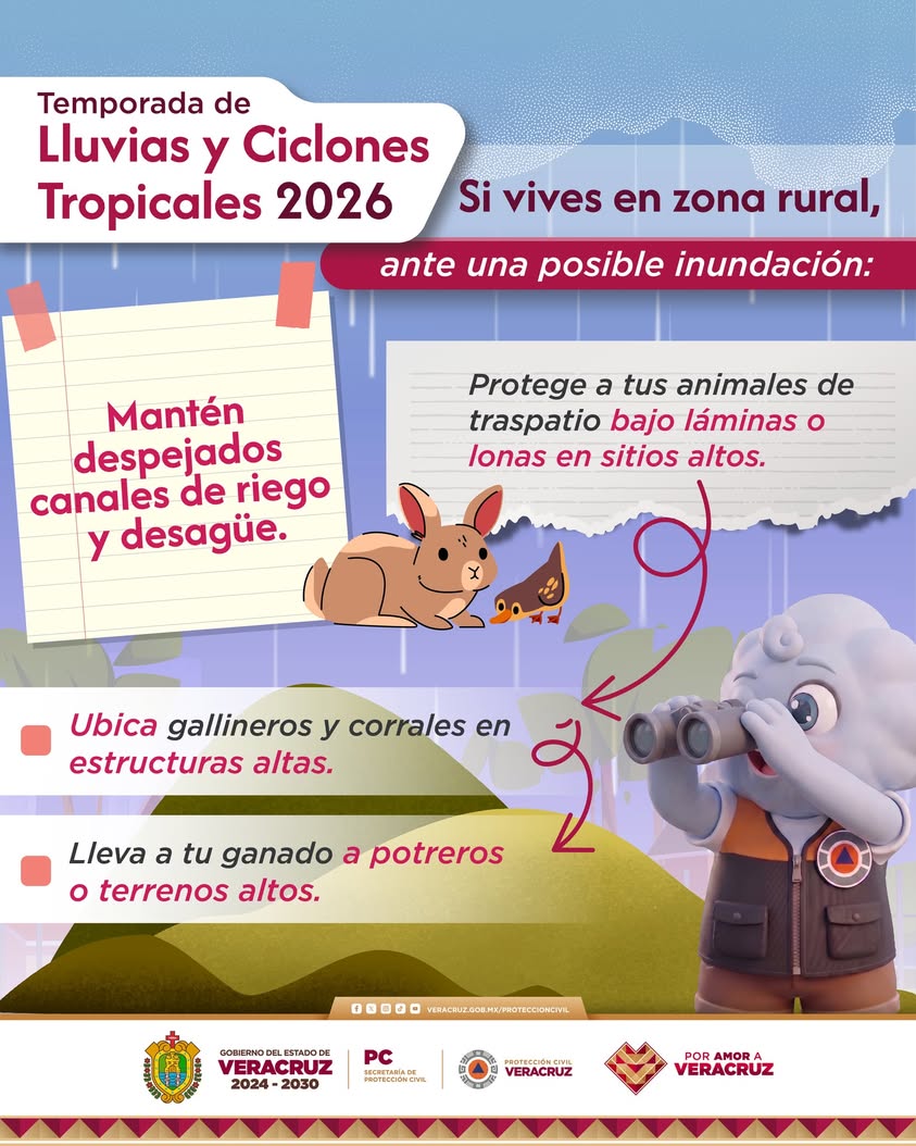proteccion-civil-animales-zonas-rurales-lluvias Protección Civil de Veracruz llama a proteger animales en zonas rurales durante temporada de lluvias y ciclones