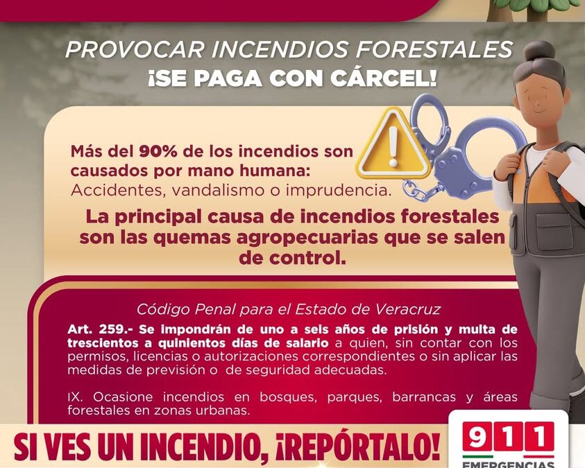 Protección Civil recuerda sanción penal por incendios