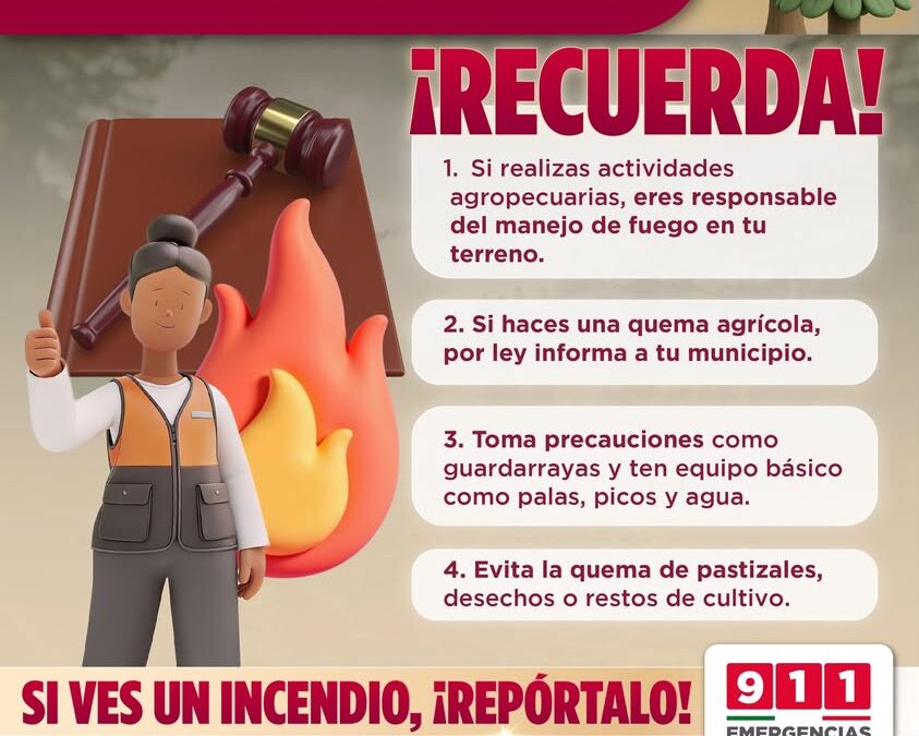 Recomendaciones para prevenir incendios forestales en Veracruz