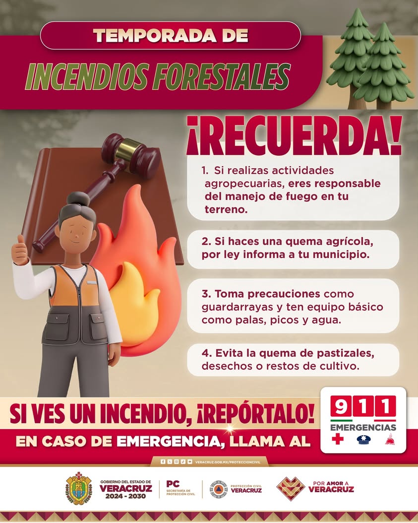 recomendaciones-prevenir-incendios-forestales-veracruz Recomendaciones de Protección Civil Veracruz para prevenir incendios forestales