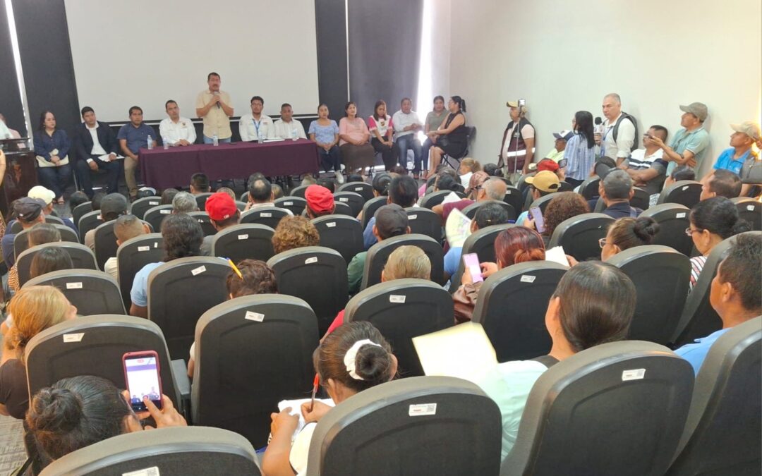 Alcalde de Álamo y CFE acuerdan poda para prevenir fallas eléctricas