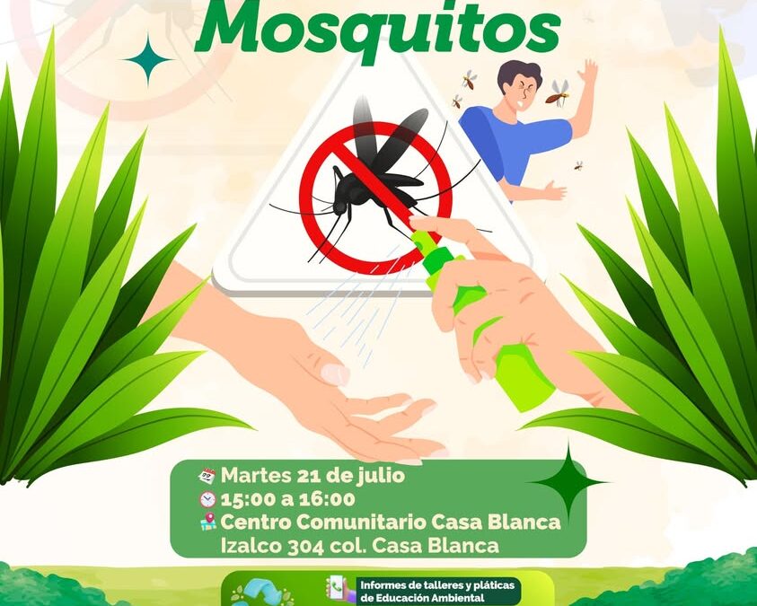 Xalapa invita a taller de repelentes naturales contra mosquitos