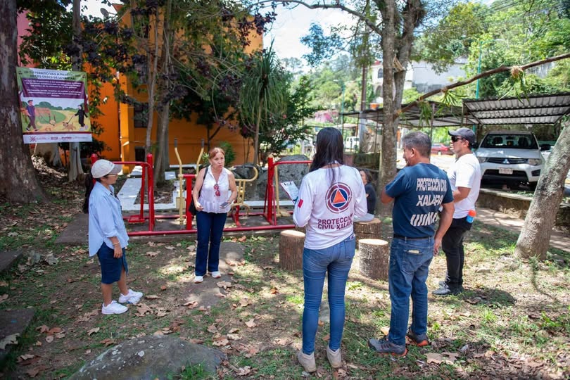 Valoran arbolado en riesgo en la Unidad Habitacional Xalapa 2000