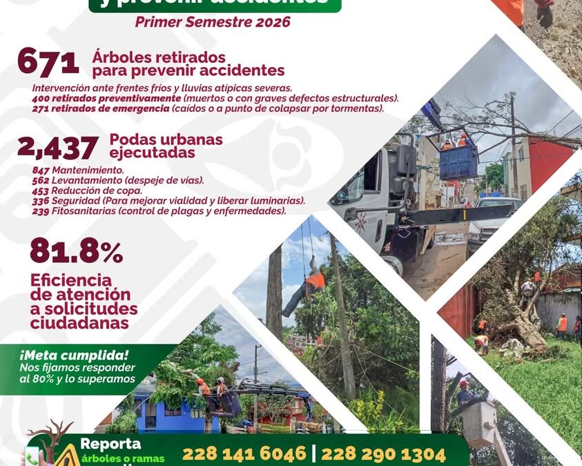 Retiran 671 árboles de riesgo en Xalapa durante primer semestre de 2026