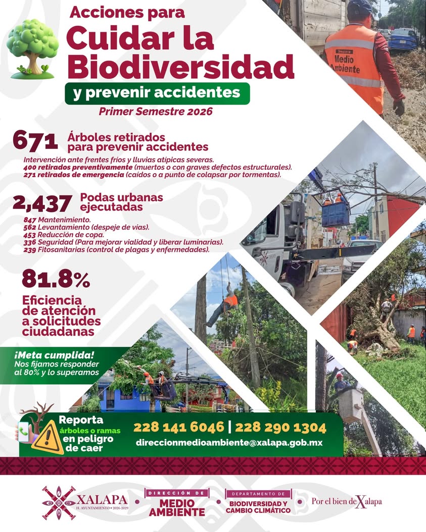 xalapa-mantenimiento-arbolado-urbano-2026 Trabajos de mantenimiento de arbolado urbano en Xalapa durante primer semestre de 2026