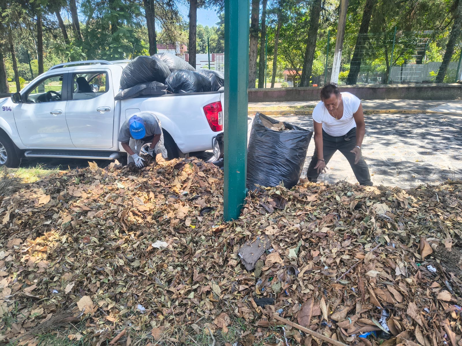 Ayuntamiento exhorta a reportar basura y hojarasca en Xalapa
