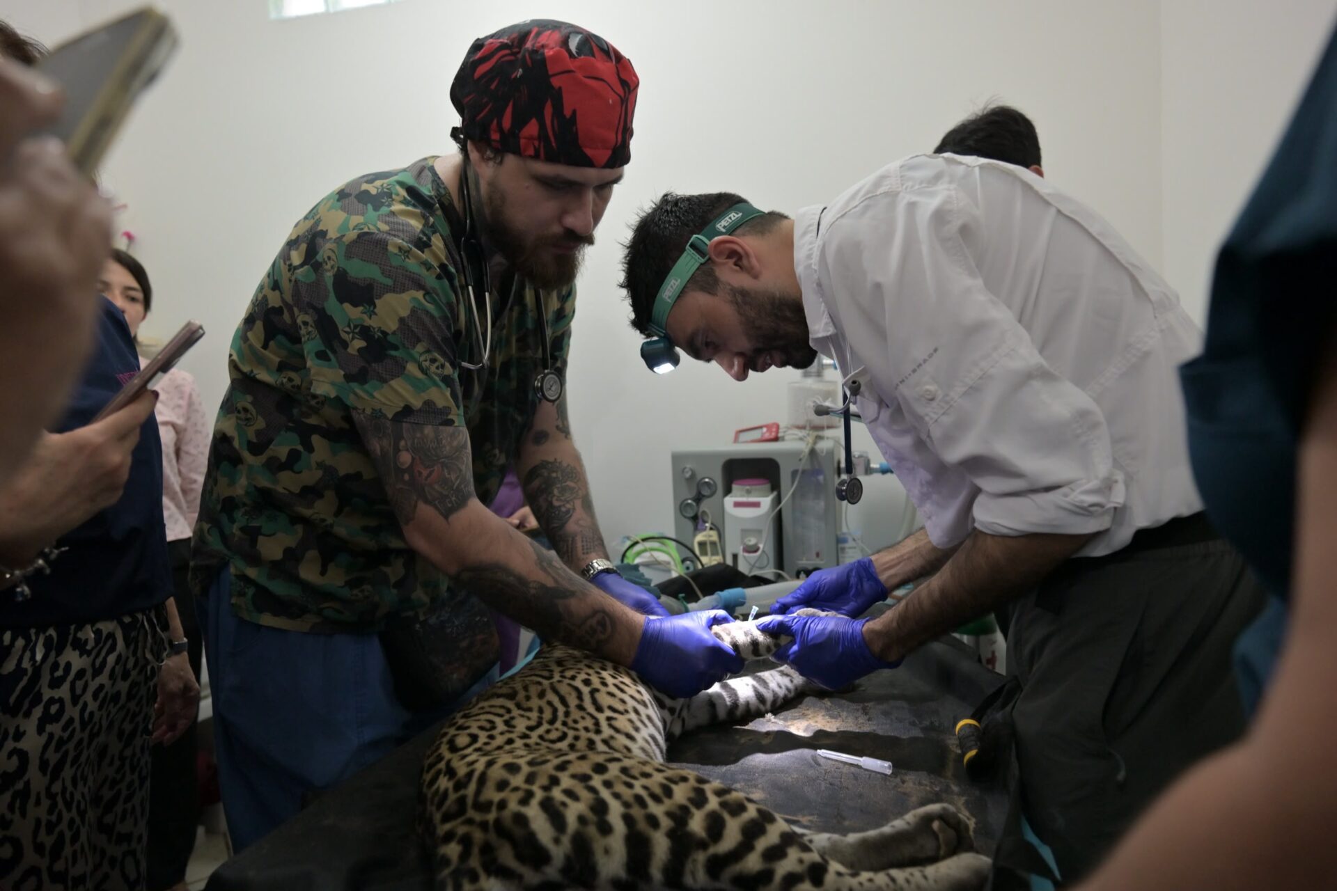 Ayuntamiento de Veracruz refuerza atención veterinaria en Parque Miguel Ángel de Quevedo