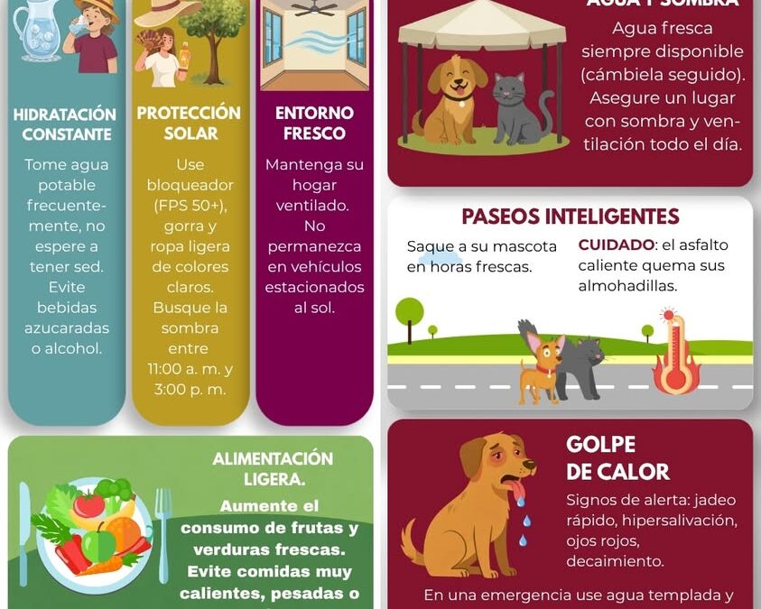 Ayuntamiento de Xalapa llama a cuidar la salud ante altas temperaturas