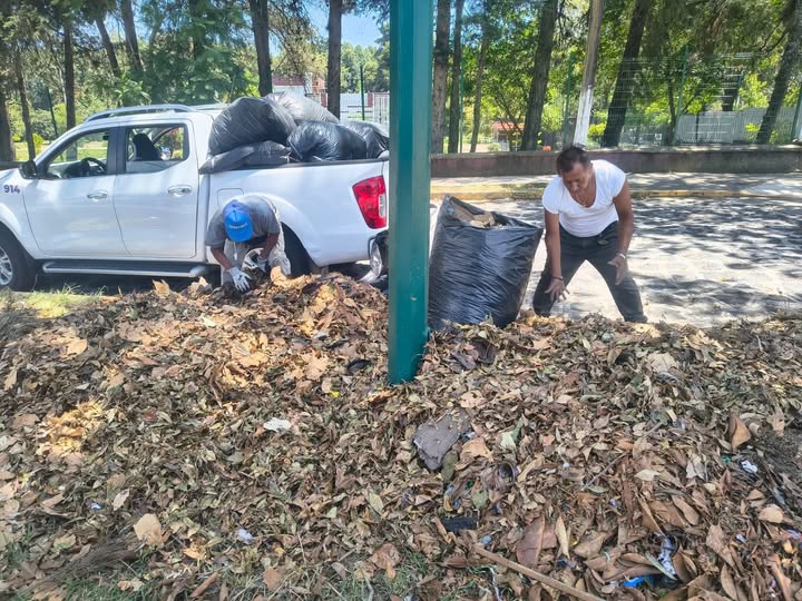 Ayuntamiento de Xalapa atiende acumulación de residuos vegetales en avenida Villahermosa