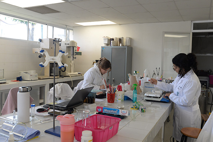 CIDEA de la UV aprovecha residuos de alimentos para crear colorantes naturales